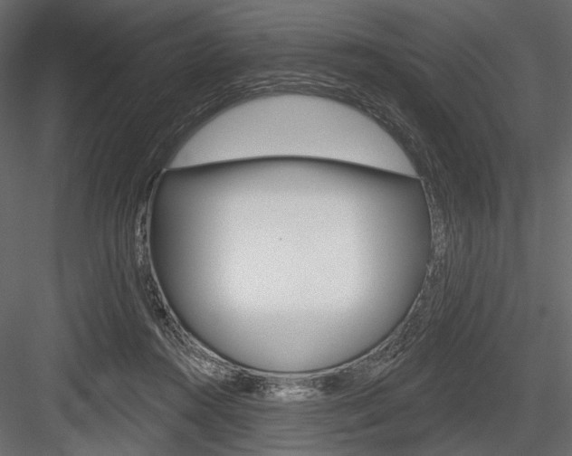 X0000084600360200702231042