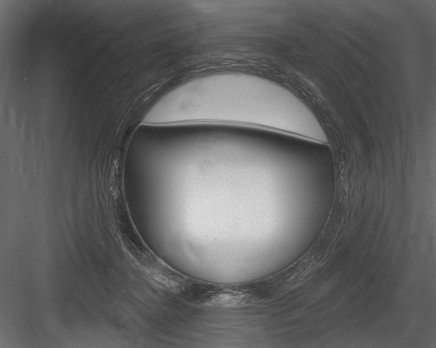 X0000084600364200702231042