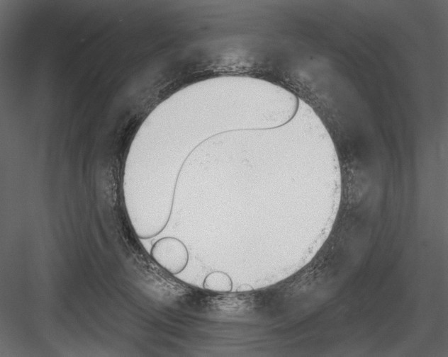 X0000084600370200702231042