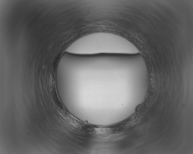 X0000084600371200702231042