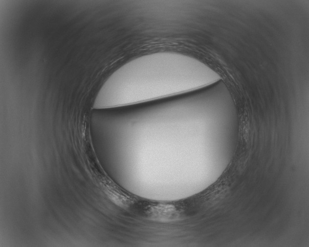 X0000084600374200702231042