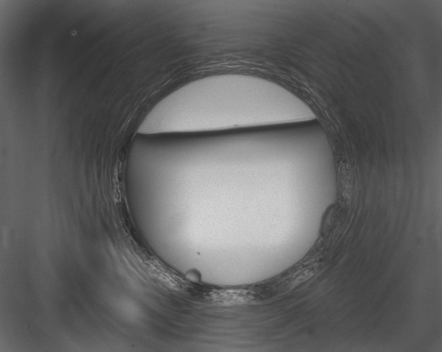 X0000084600378200702231043