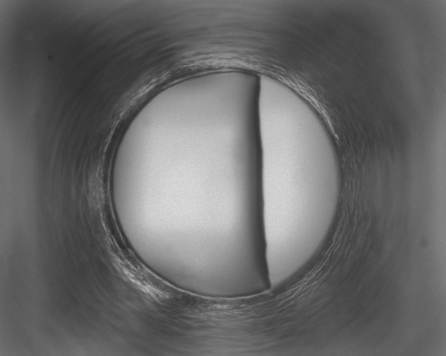X0000084600390200702231042