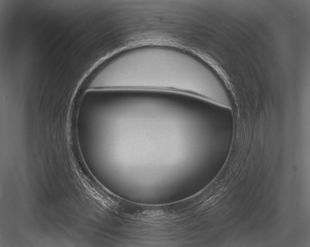 X0000084600391200702231042