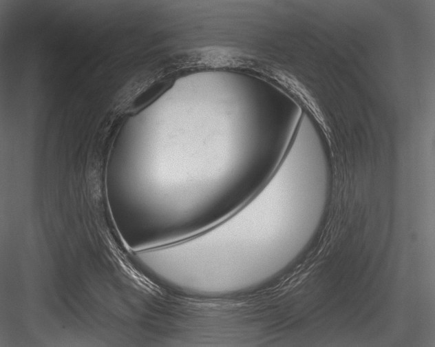 X0000084600393200702231042