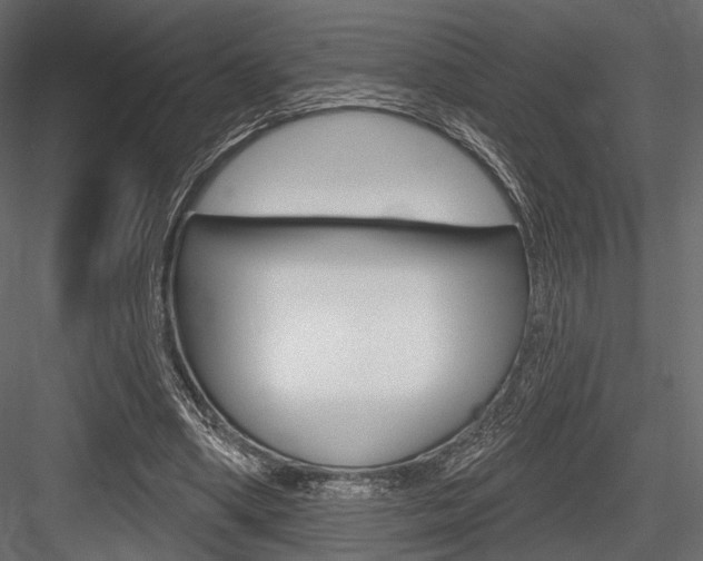 X0000084600394200702231042