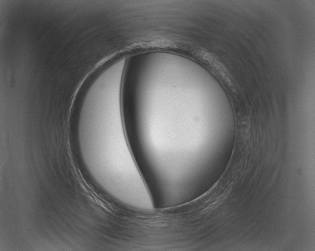 X0000084600395200702231041