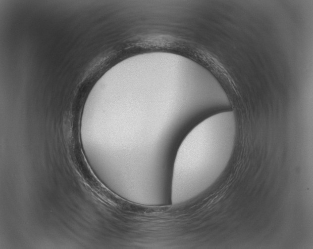 X0000084600396200702231041
