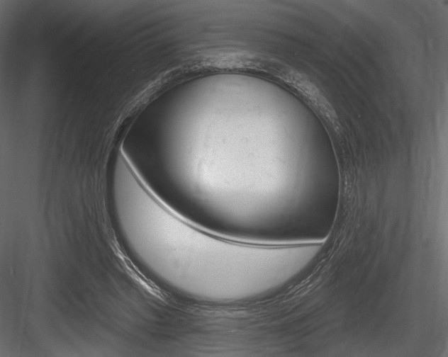 X0000084600397200702231041