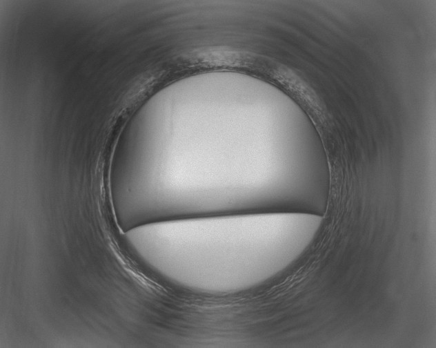 X0000084600398200702231041