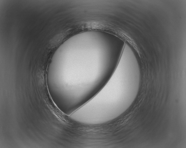X0000084600401200702231041