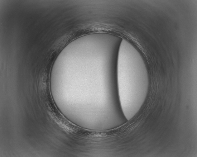 X0000084600402200702231041
