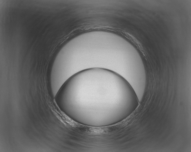 X0000084600405200702231041