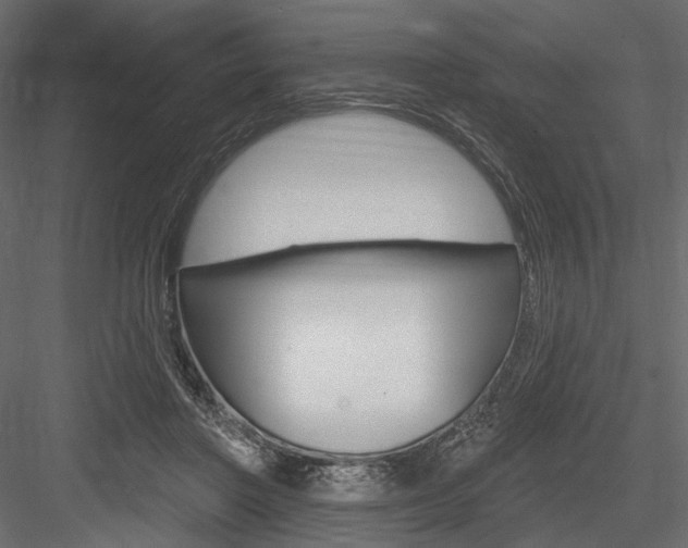 X0000084600406200702231041