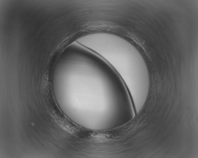 X0000084600407200702231041