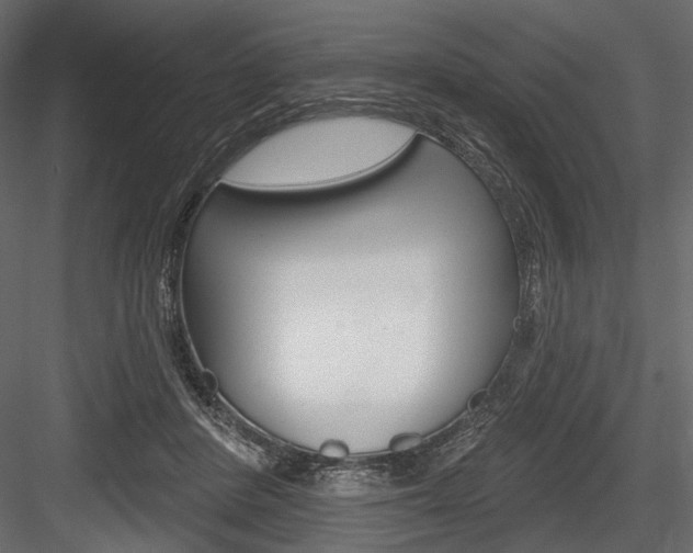 X0000084600408200702231041