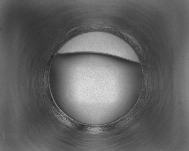 X0000084600409200702231041