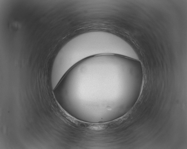 X0000084600411200702231041