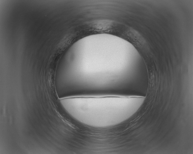 X0000084600412200702231041
