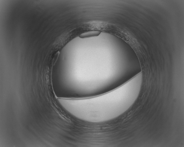X0000084600413200702231041