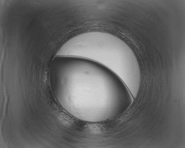 X0000084600417200702231041