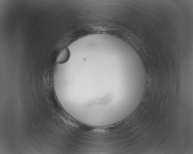 X0000084600418200702231041