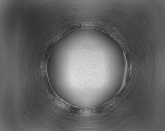 X0000084600419200702231041