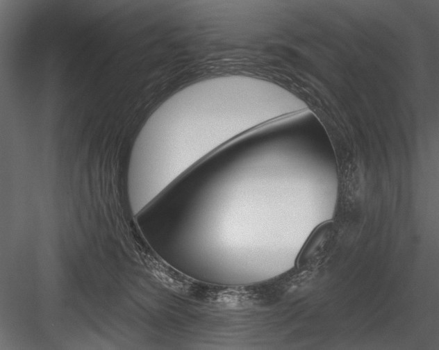 X0000084600420200702231041