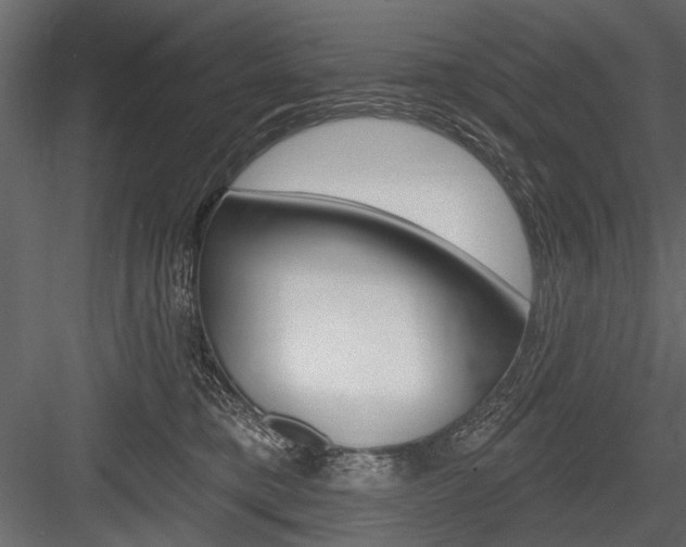 X0000084600421200702231041