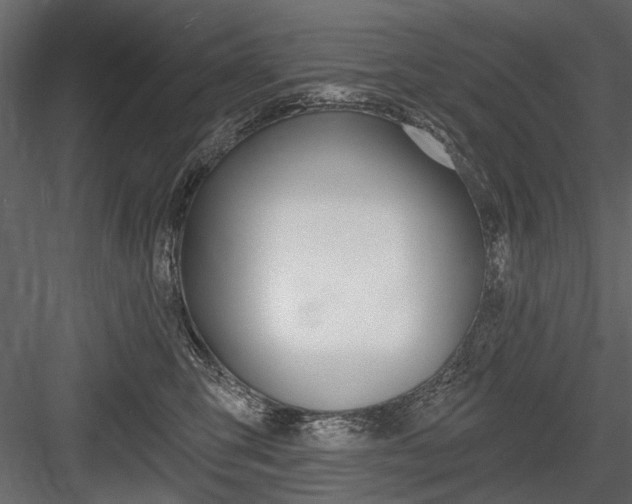 X0000084600423200702231041