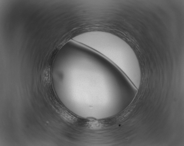 X0000084600425200702231041