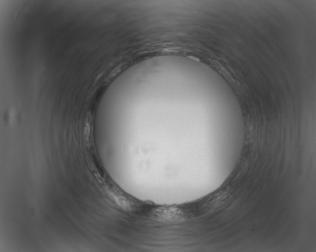 X0000084600427200702231041