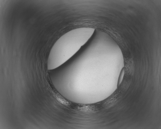 X0000084600430200702231041