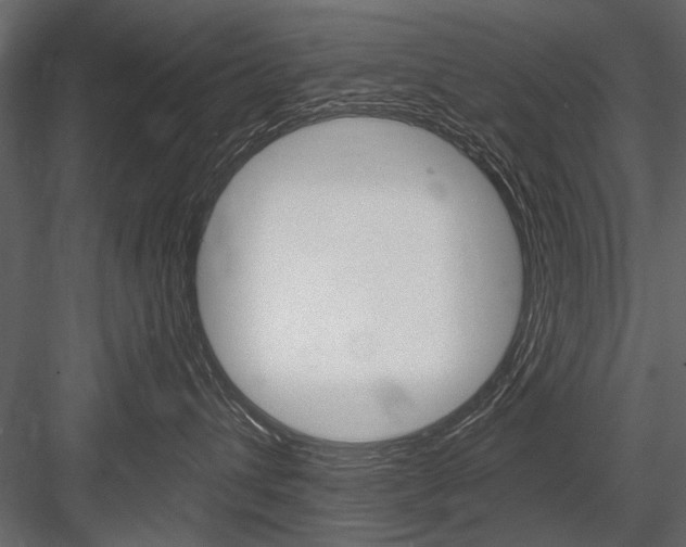X0000084600432200702231041