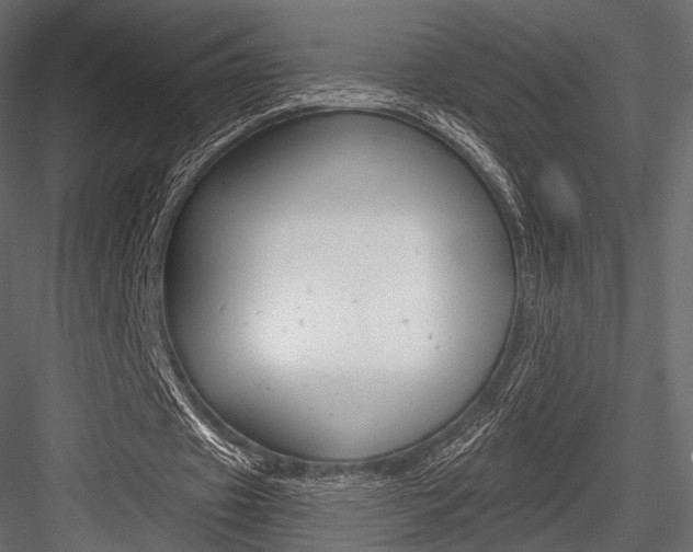 X0000084600433200702231040
