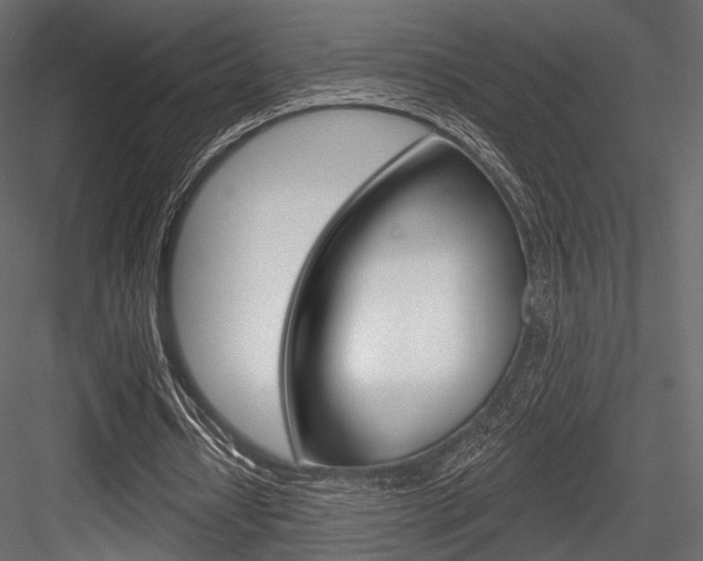 X0000084600434200702231040