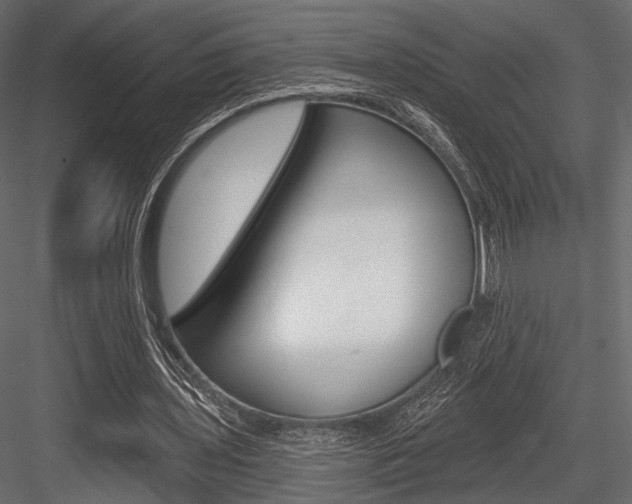 X0000084600435200702231040