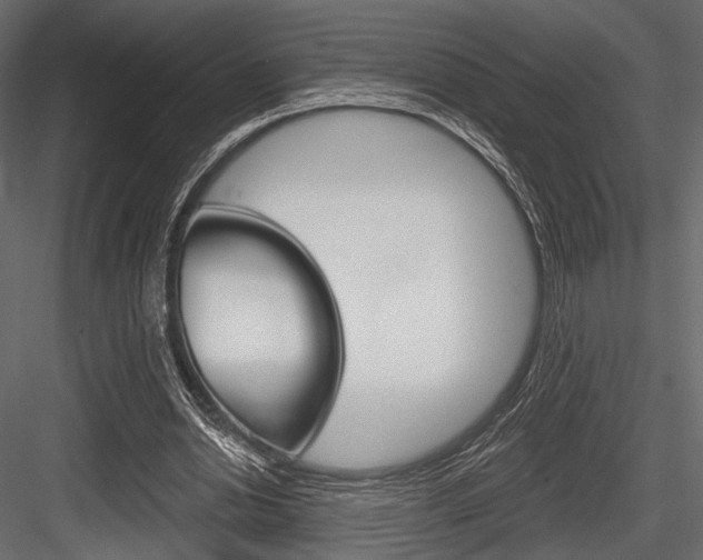 X0000084600438200702231040