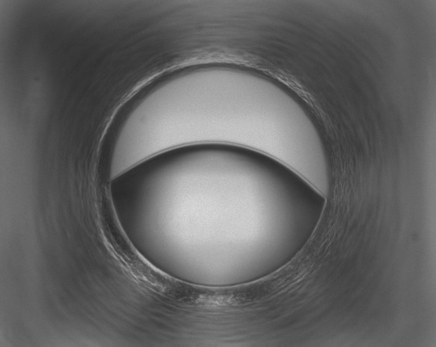 X0000084600440200702231040