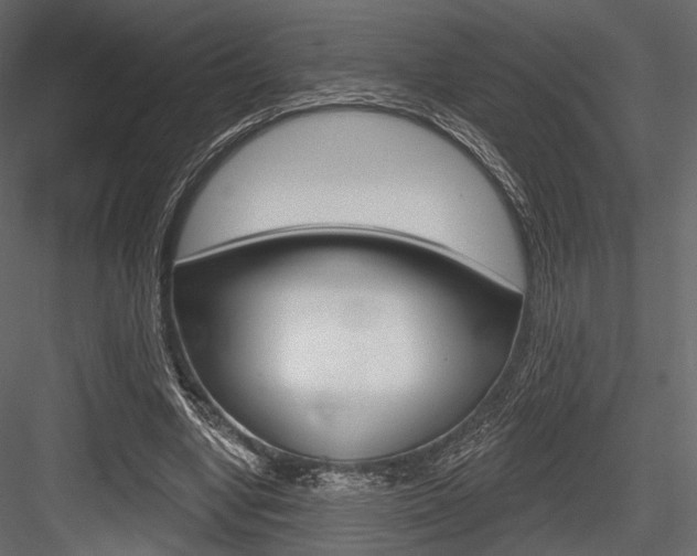 X0000084600442200702231040