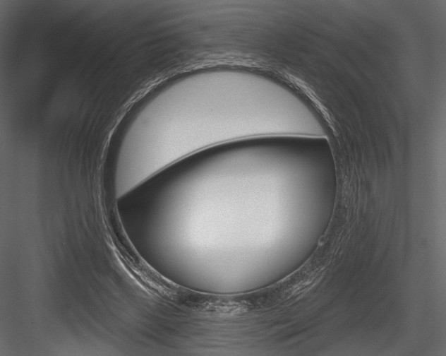 X0000084600443200702231040