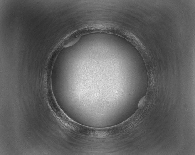 X0000084600444200702231040
