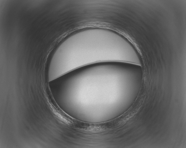 X0000084600445200702231040