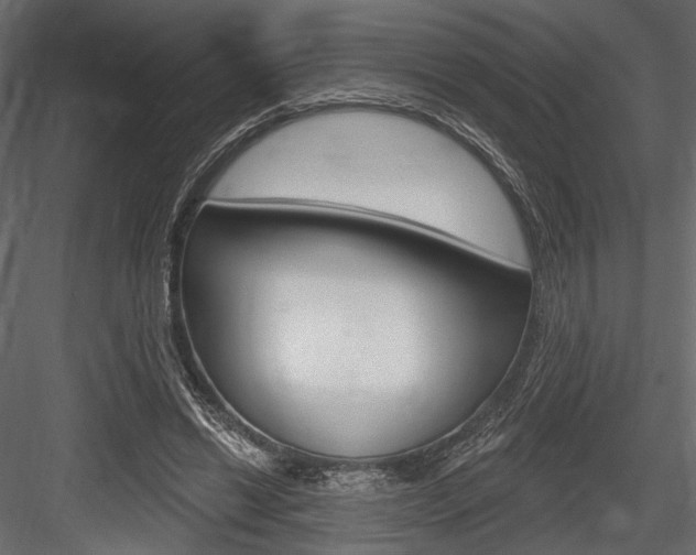 X0000084600446200702231040