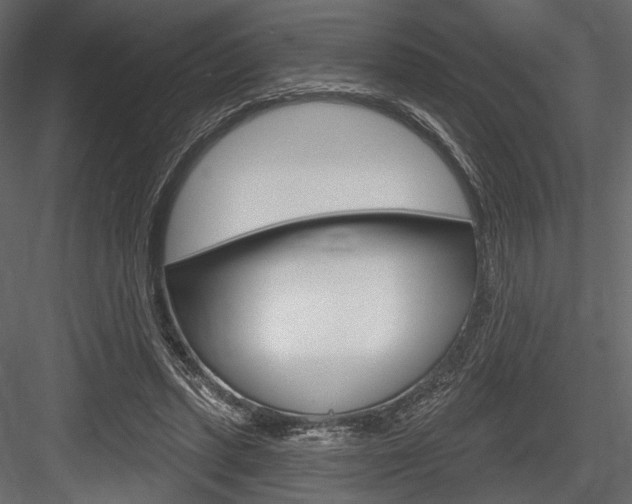 X0000084600447200702231040