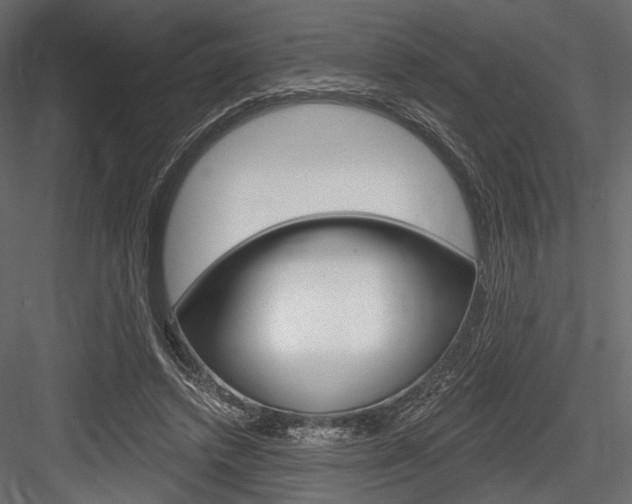 X0000084600448200702231040