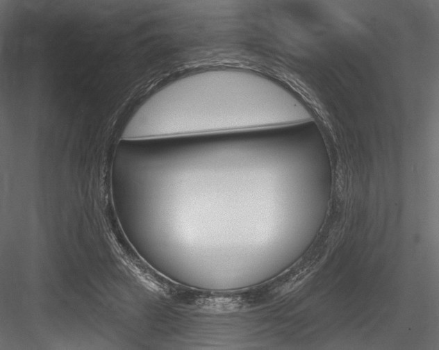 X0000084600449200702231040