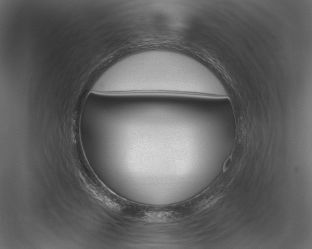 X0000084600450200702231040