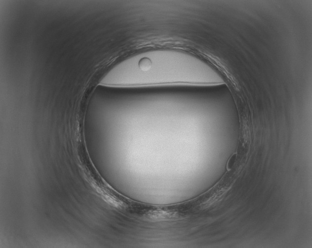 X0000084600453200702231040