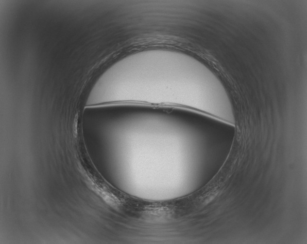X0000084600454200702231040